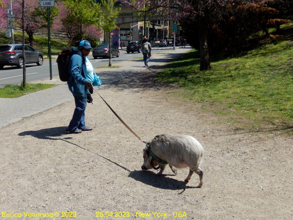 189 - Brooklin   24.04.2023.jpg